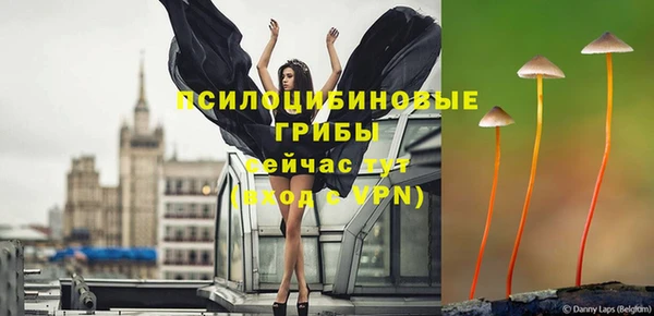 гашик Абинск