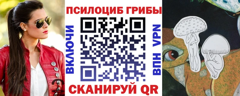 Псилоцибиновые грибы Psilocybine cubensis  Микунь 
